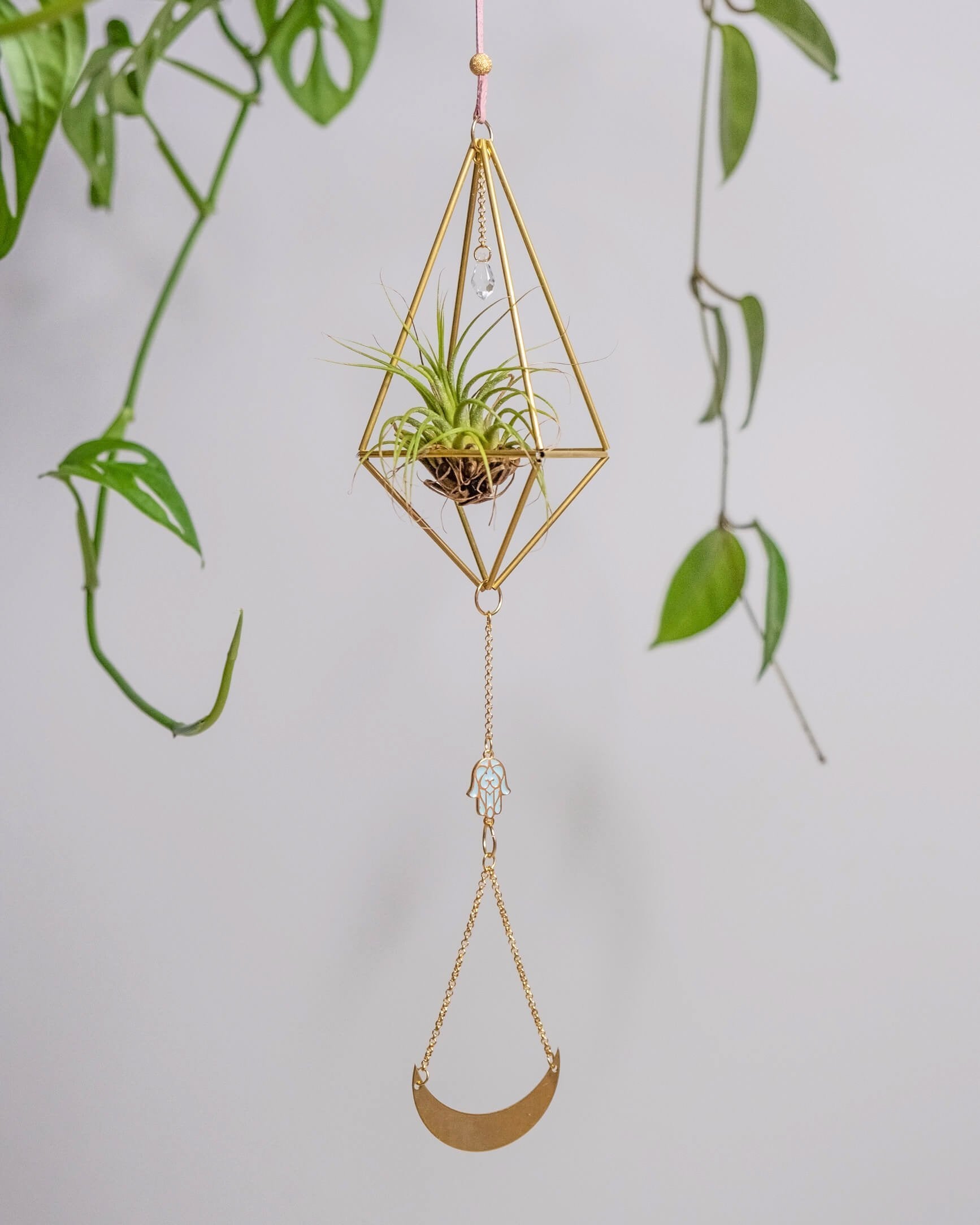 Himmeli № 034 - plantsnobiety