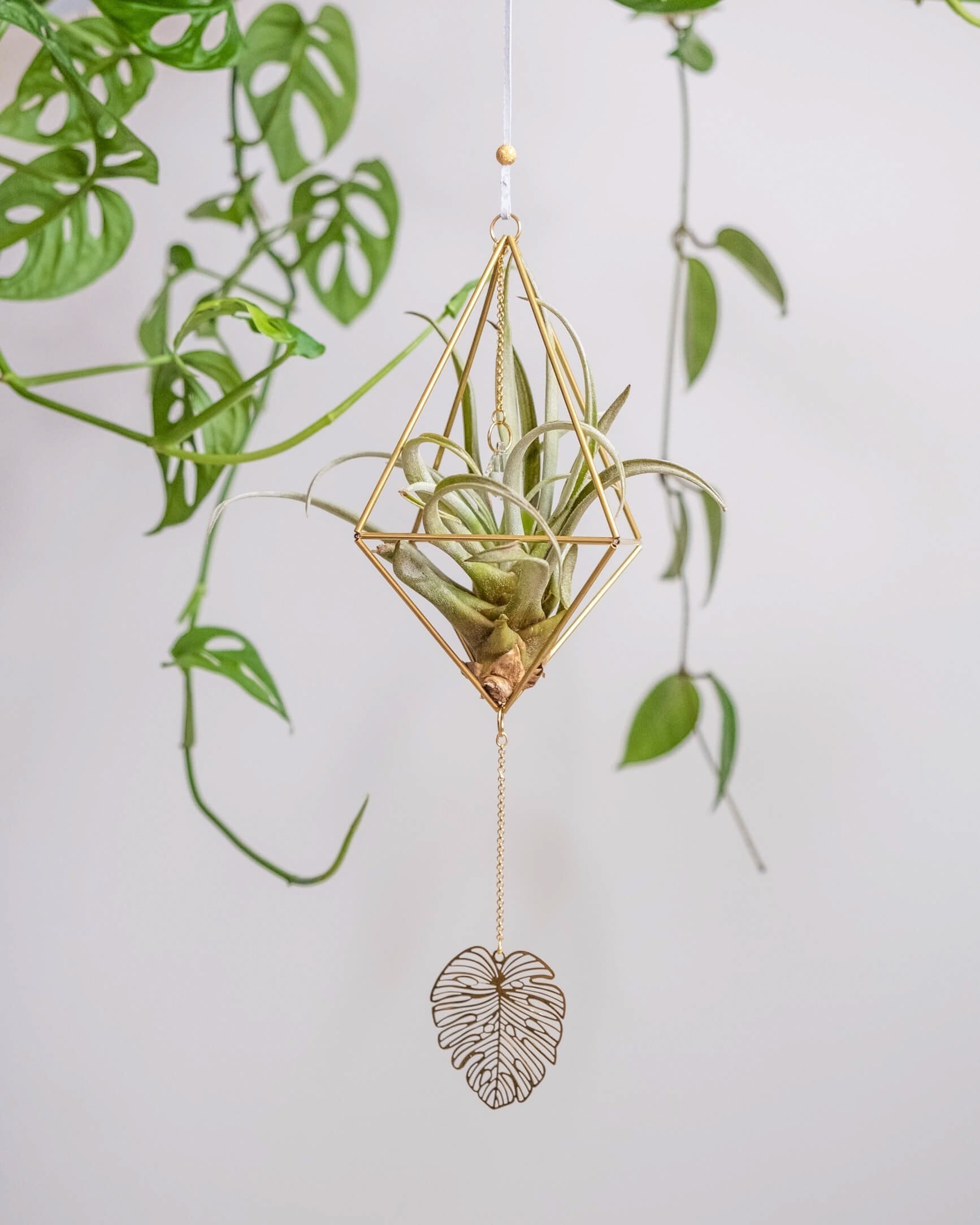 Himmeli № 035 - plantsnobiety