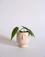 Little Dreamer Pot (XS) - plantsnobiety