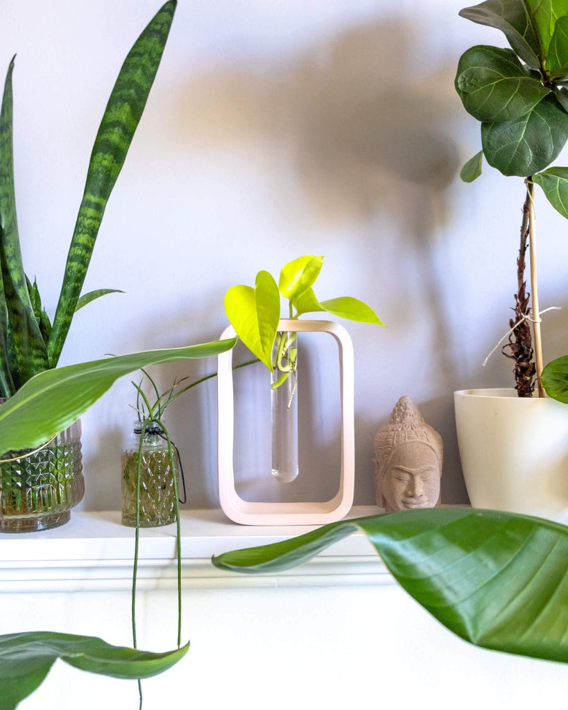 indoor plant station Minima Propagation Station