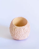 Sugar Skull Pot - plantsnobiety