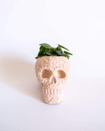 Sugar Skull Pot - plantsnobiety