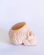 Sugar Skull Pot - plantsnobiety