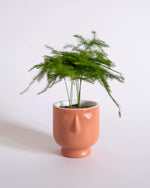 Little Dreamer Pot (XS) - plantsnobiety