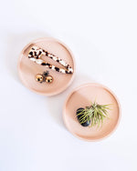 Round Air Plant Display Tray (M) - plantsnobiety