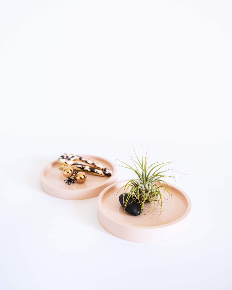 Round Air Plant Display Tray (M) - plantsnobiety